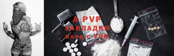 ECSTASY Нефтекумск