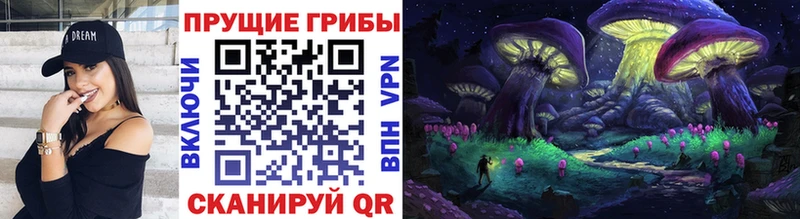 Псилоцибиновые грибы мицелий Иноземцево
